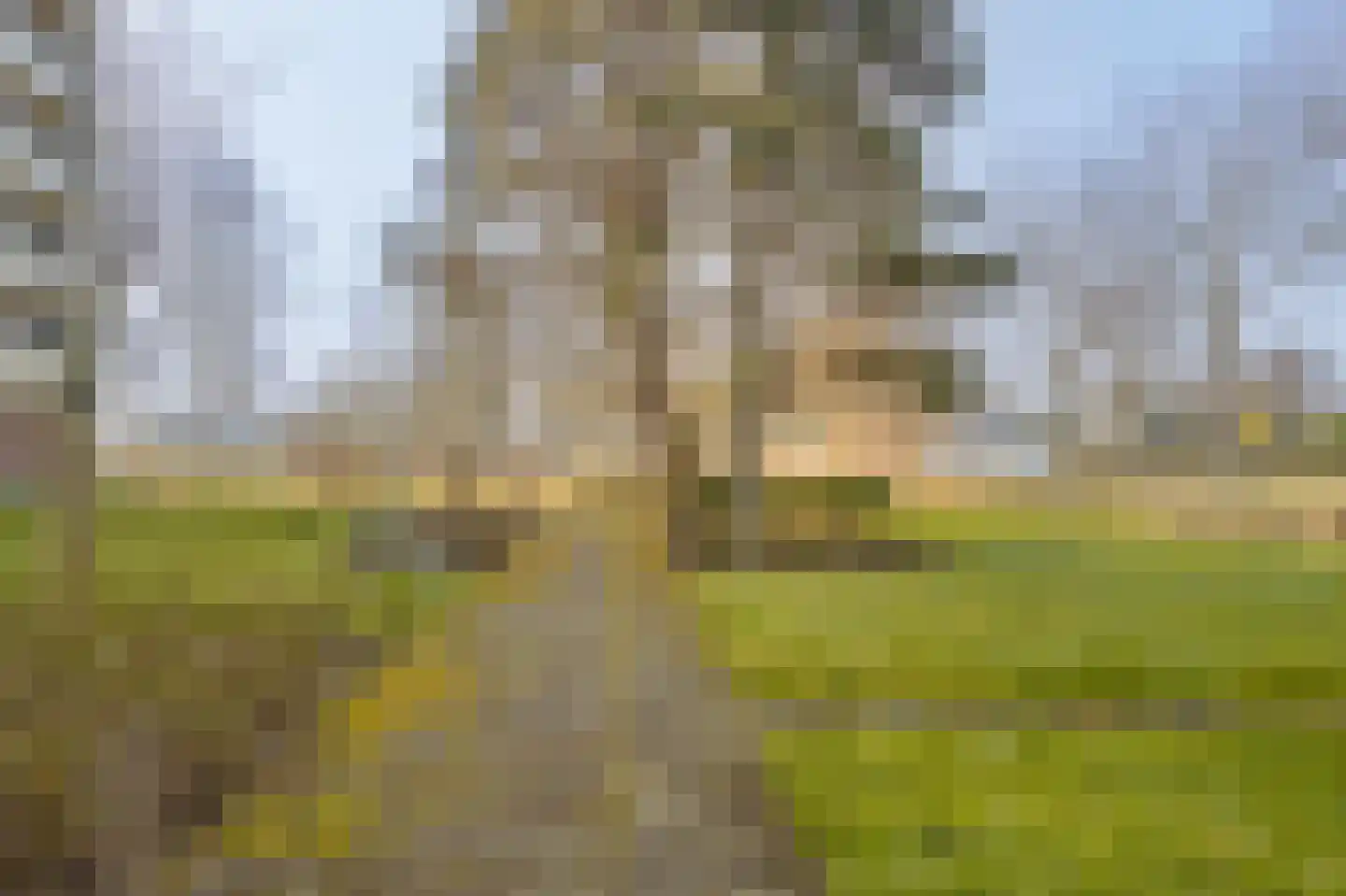 Henry Dunantlaan 26 Middelburg thumbnail 42