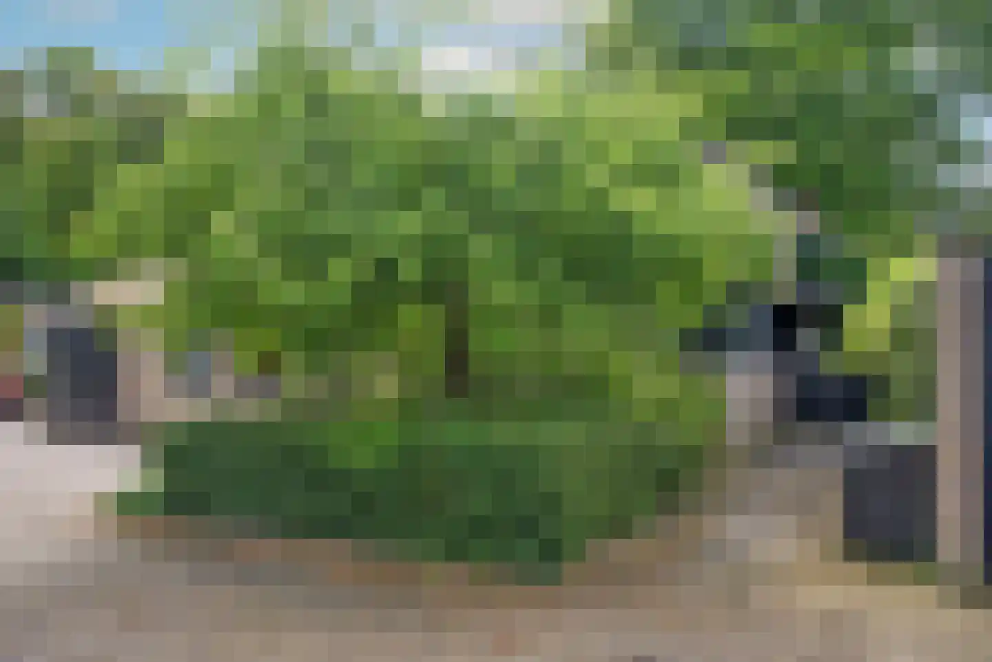Henry Dunantlaan 40 Enschede thumbnail 13