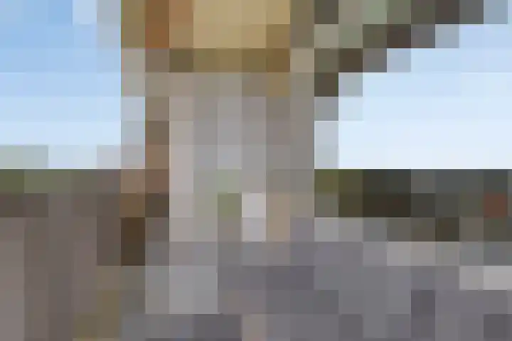 Henry Dunantlaan 56 Middelburg thumbnail 9