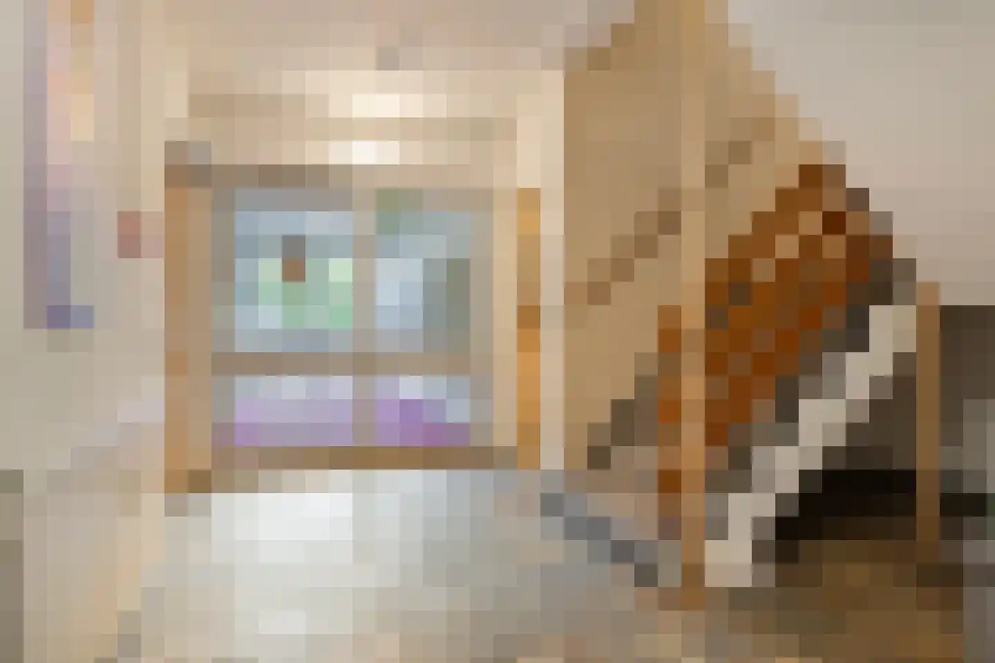 Henry Dunantlaan 60 Middelburg thumbnail 22