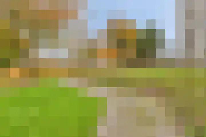 Henry Dunantlaan 70 Middelburg thumbnail 21