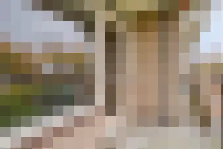 Henry Dunantlaan 70 Middelburg thumbnail 5