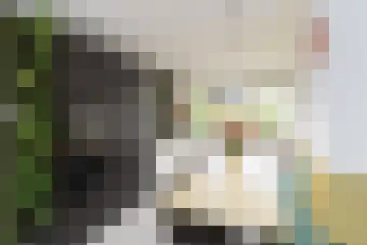 Henry Dunantlaan 73 Delft thumbnail 10