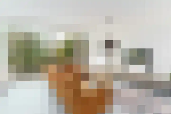 Henry Dunantlaan 73 Delft thumbnail 17