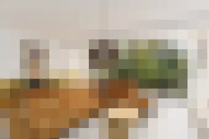 Henry Dunantlaan 73 Delft thumbnail 18