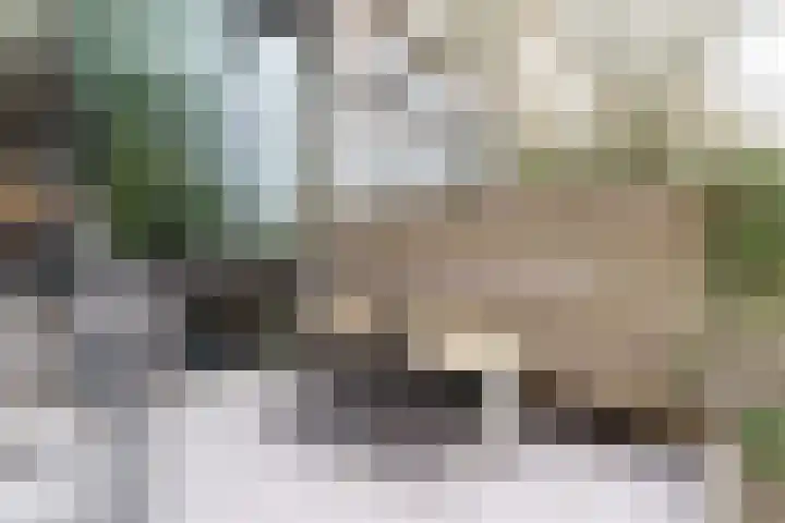 Henry Dunantlaan 73 Delft thumbnail 21