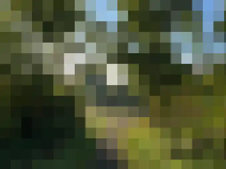Henry Dunantlaan 73 Delft thumbnail 6