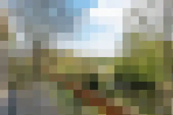 Henry Dunantlaan 75 Delft thumbnail 20