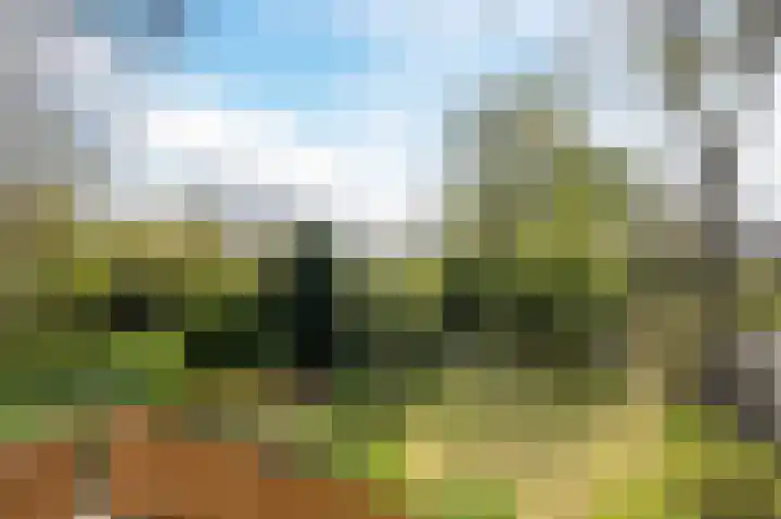Henry Dunantlaan 75 Delft thumbnail 32