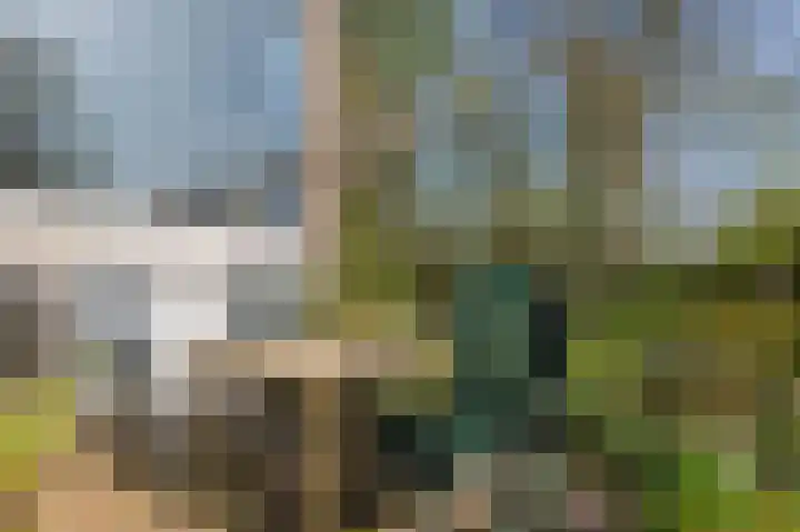 Henry Dunantlaan 75 Delft thumbnail 35
