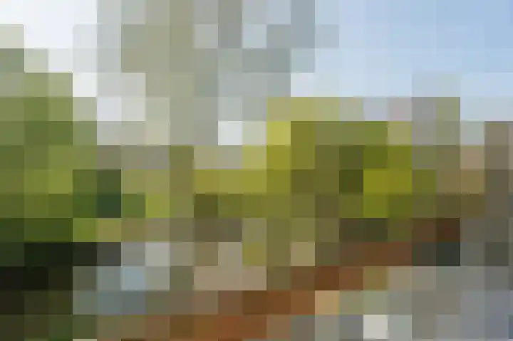 Henry Dunantlaan 75 Delft thumbnail 36