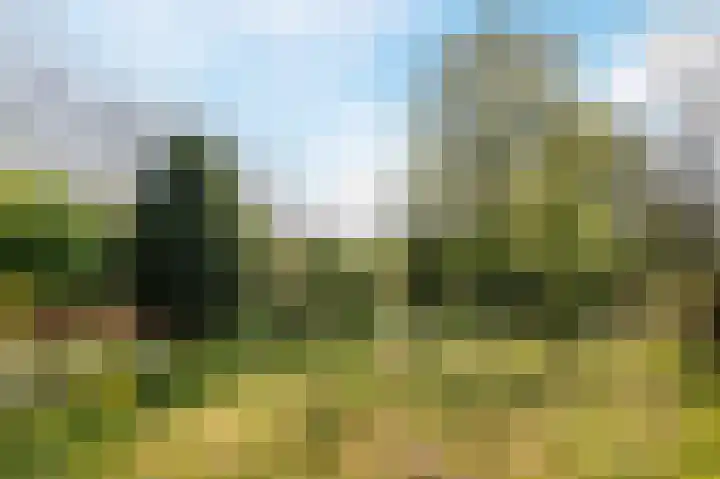 Henry Dunantlaan 75 Delft thumbnail 4