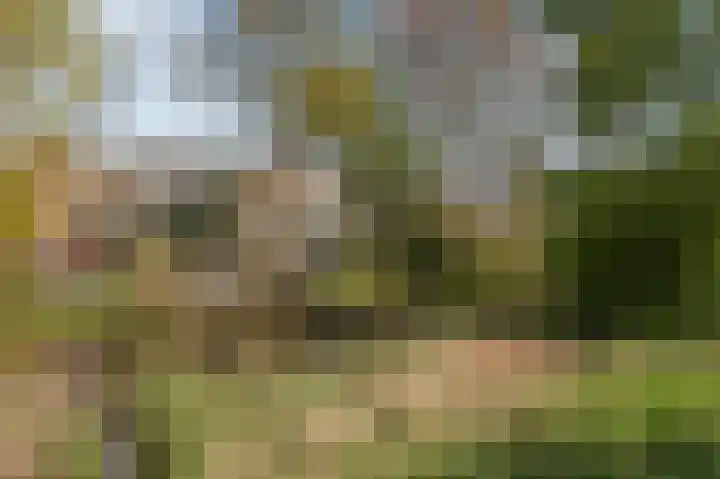 Henry Dunantlaan 75 Delft thumbnail 5