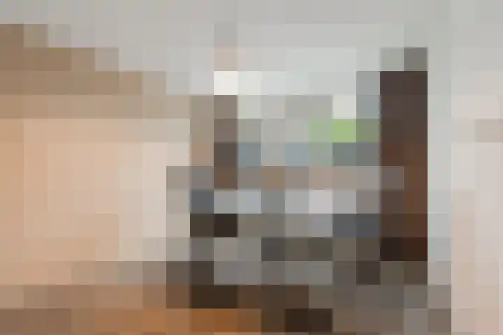 Henry Dunantlaan 83 Diemen thumbnail 39