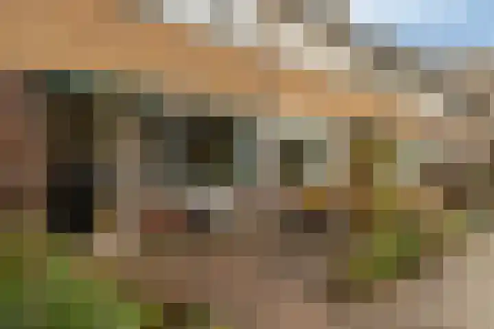 Henry Dunantlaan 83 Diemen thumbnail 6