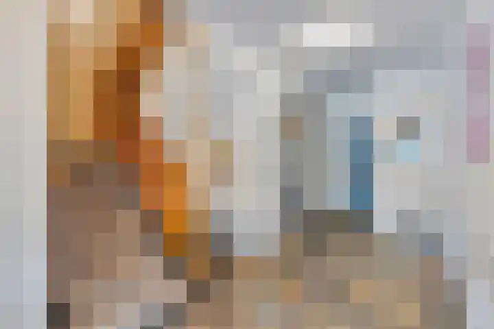 Henry Dunantlaan 94 Middelburg thumbnail 4