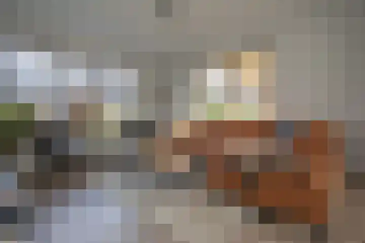 Henry Dunantstraat 1 Den Ham thumbnail 10