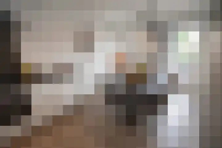 Henry Dunantstraat 1 Den Ham thumbnail 14