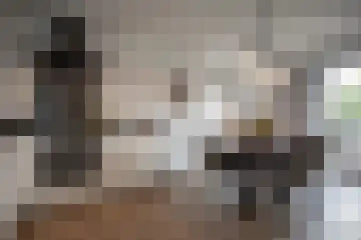 Henry Dunantstraat 1 Den Ham thumbnail 15