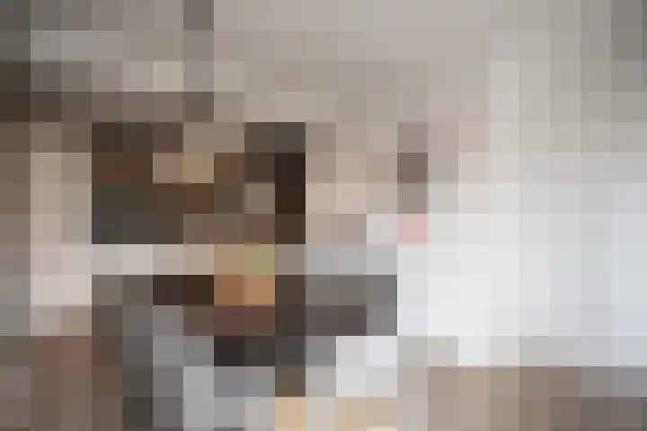 Henry Dunantstraat 1 Den Ham thumbnail 16