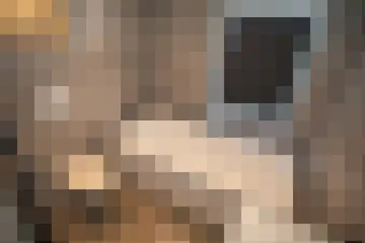 Henry Dunantstraat 1 Den Ham thumbnail 28