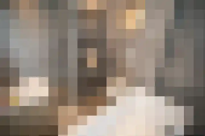 Henry Dunantstraat 1 Den Ham thumbnail 30