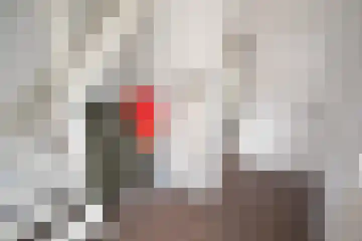 Henry Dunantstraat 1 Den Ham thumbnail 31