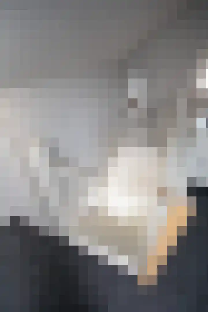 Henry Dunantstraat 1 Den Ham thumbnail 33