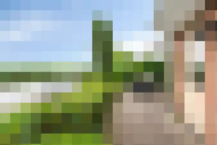 Henry Dunantstraat 1 Den Ham thumbnail 34