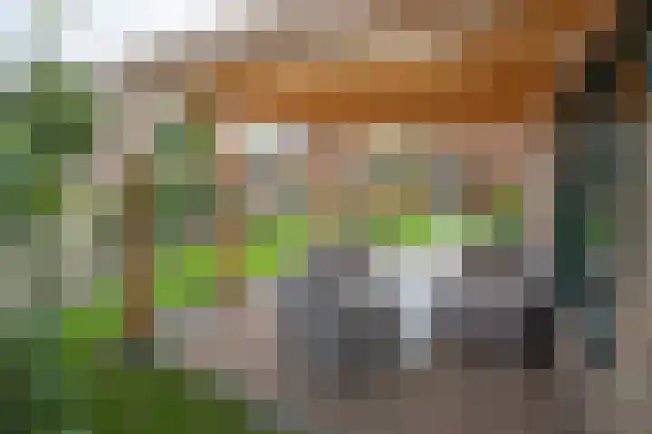 Henry Dunantstraat 1 Den Ham thumbnail 38