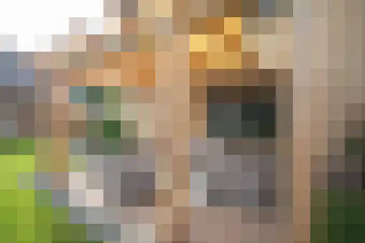 Henry Dunantstraat 1 Den Ham thumbnail 39