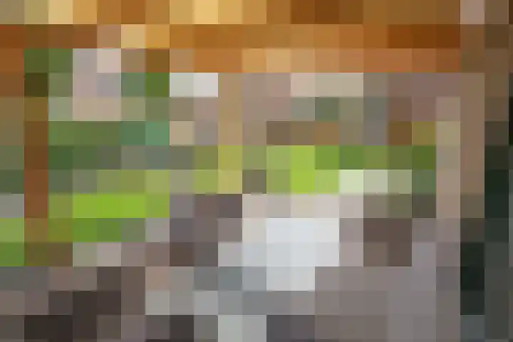 Henry Dunantstraat 1 Den Ham thumbnail 40