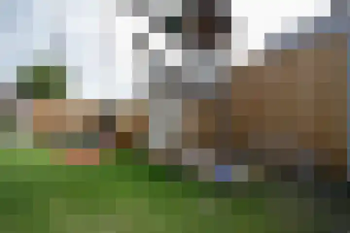 Henry Dunantstraat 1 Den Ham thumbnail 41