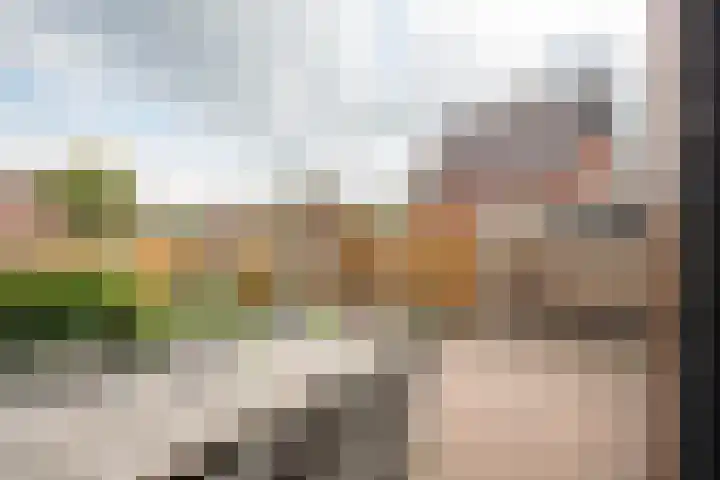 Henry Dunantstraat 1 Den Ham thumbnail 43