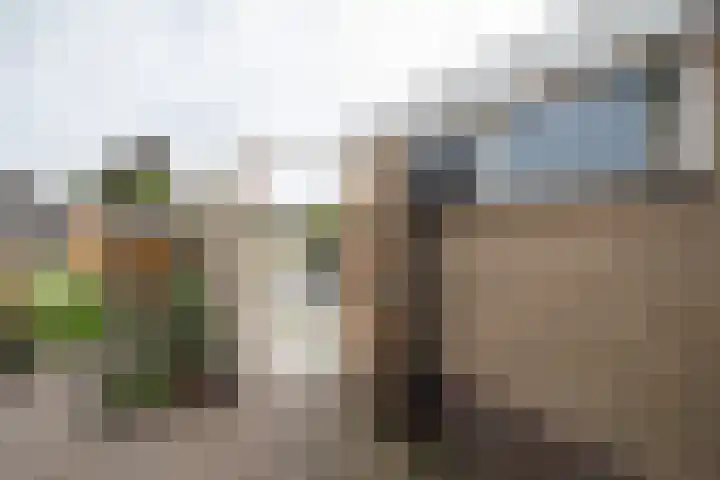 Henry Dunantstraat 1 Den Ham thumbnail 44