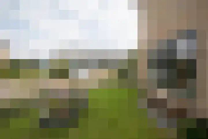 Henry Dunantstraat 1 Den Ham thumbnail 46