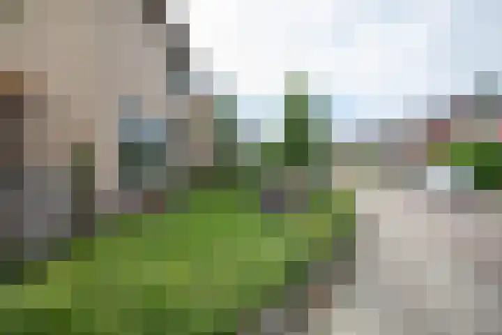Henry Dunantstraat 1 Den Ham thumbnail 47