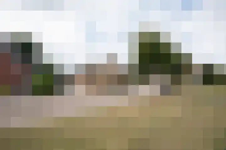 Henry Dunantstraat 1 Den Ham thumbnail 49