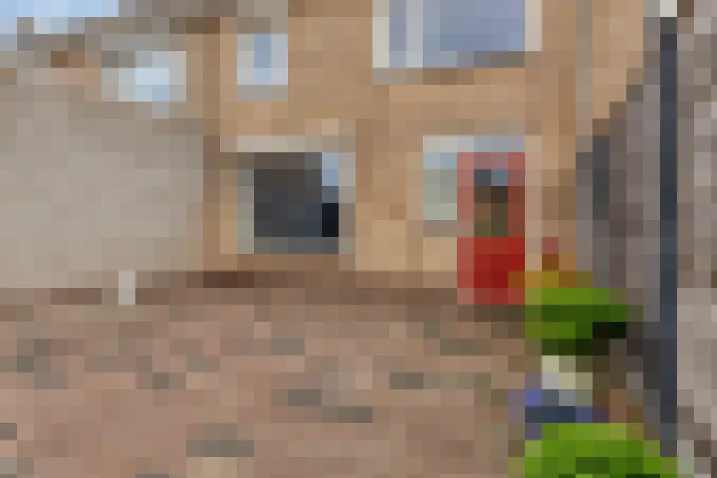 Henry Dunantstraat 14 Wolphaartsdijk thumbnail 36