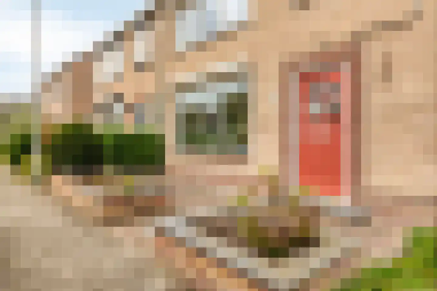 Henry Dunantstraat 14 Wolphaartsdijk thumbnail 6