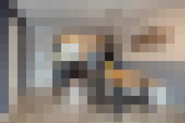 Henry Dunantstraat 18 Wolphaartsdijk thumbnail 8