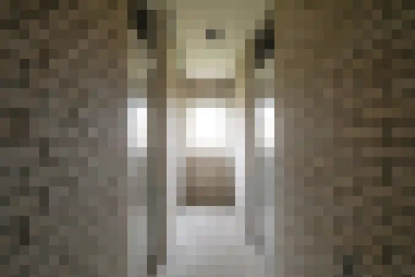 Henry Dunantstraat 28 Hengelo thumbnail 22