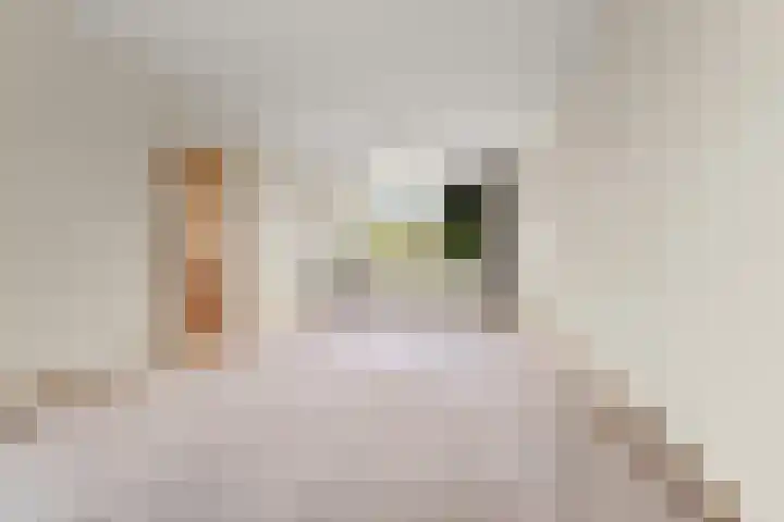 Henry Dunantstraat 3 Nijmegen thumbnail 10