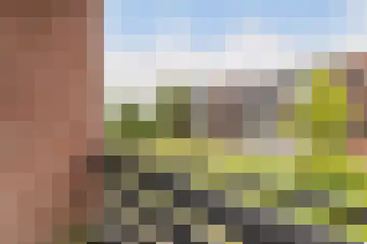 Henry Dunantstraat 32 Hengelo thumbnail 12