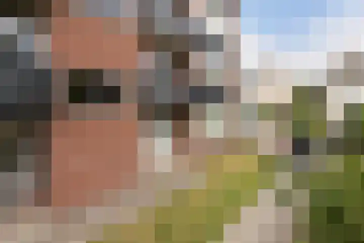 Henry Dunantstraat 32 Hengelo thumbnail 24