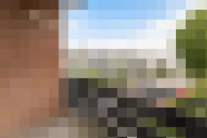 Henry Dunantstraat 32 Hengelo thumbnail 4