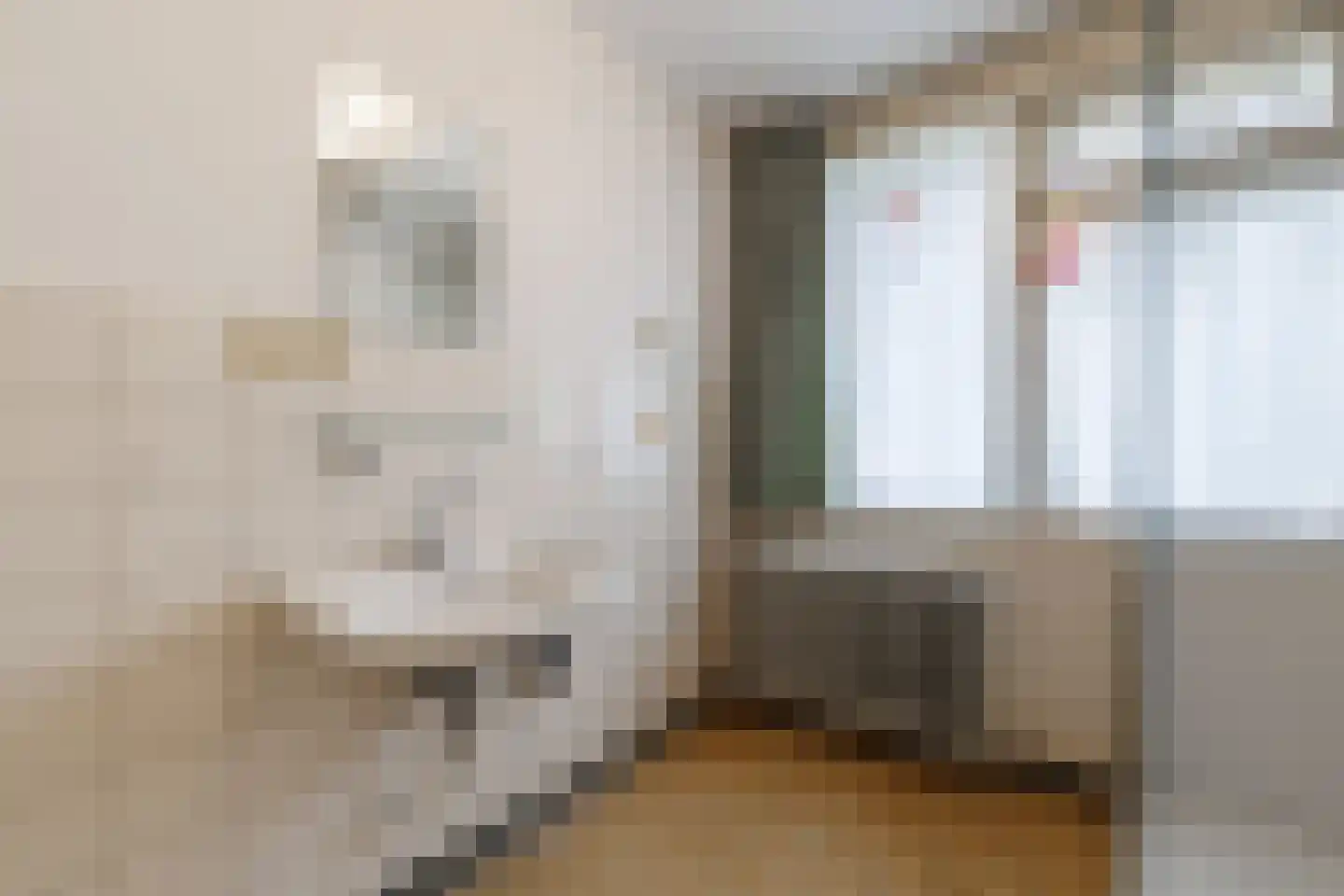 Henry Dunantstraat 39 Hengelo thumbnail 28
