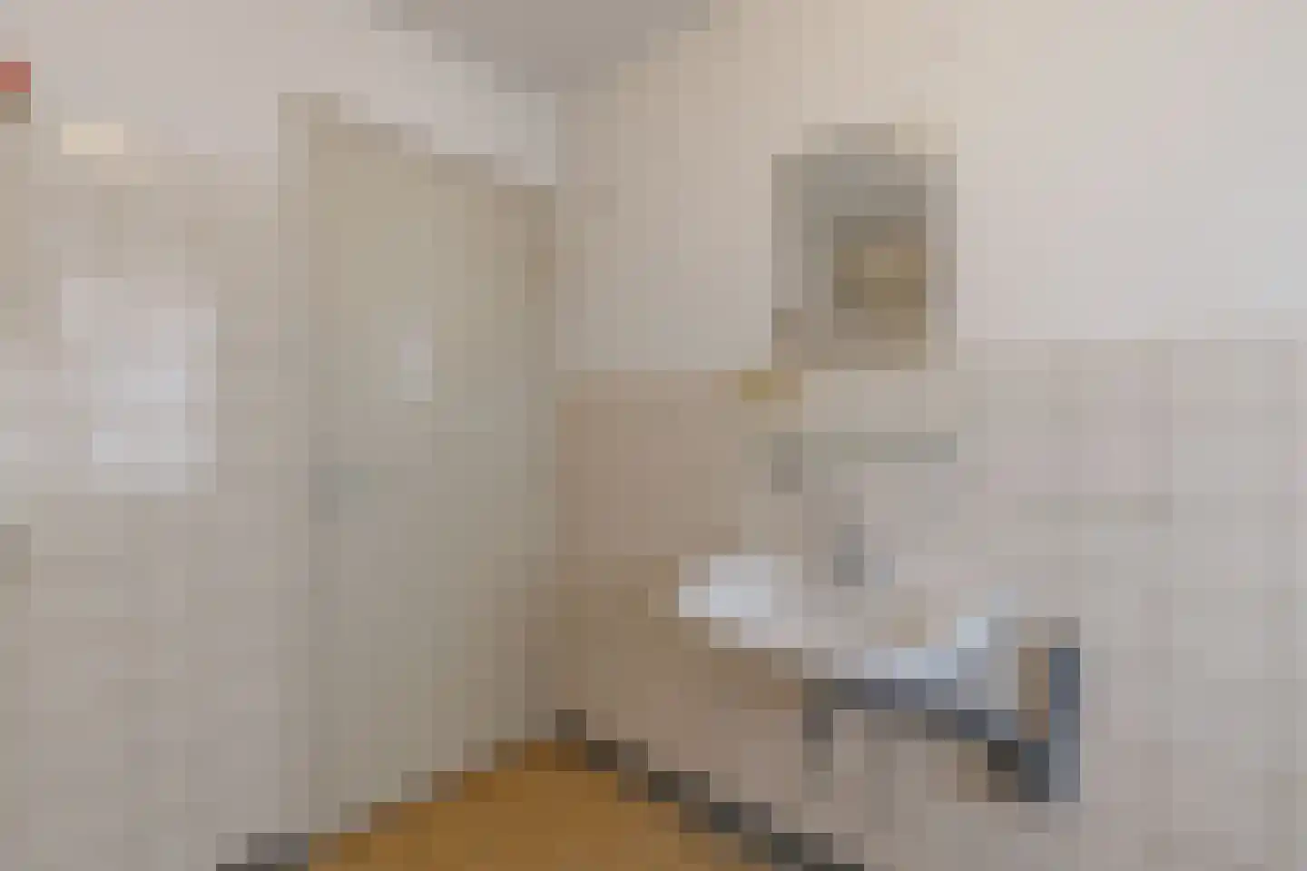 Henry Dunantstraat 39 Hengelo thumbnail 30