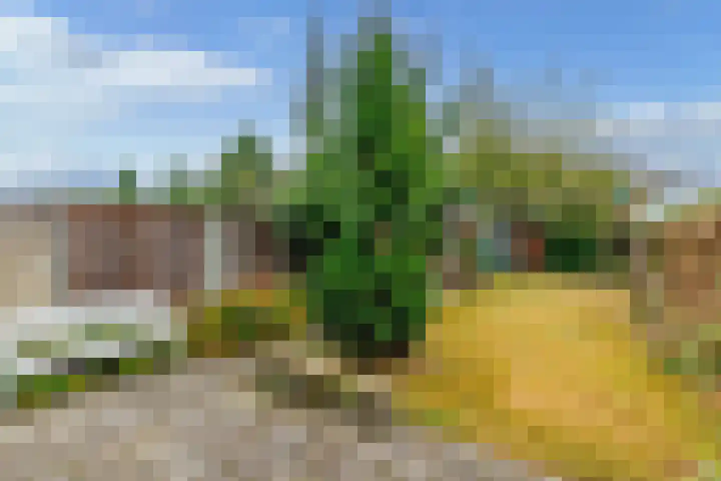 Henry Dunantstraat 39 Hengelo thumbnail 47