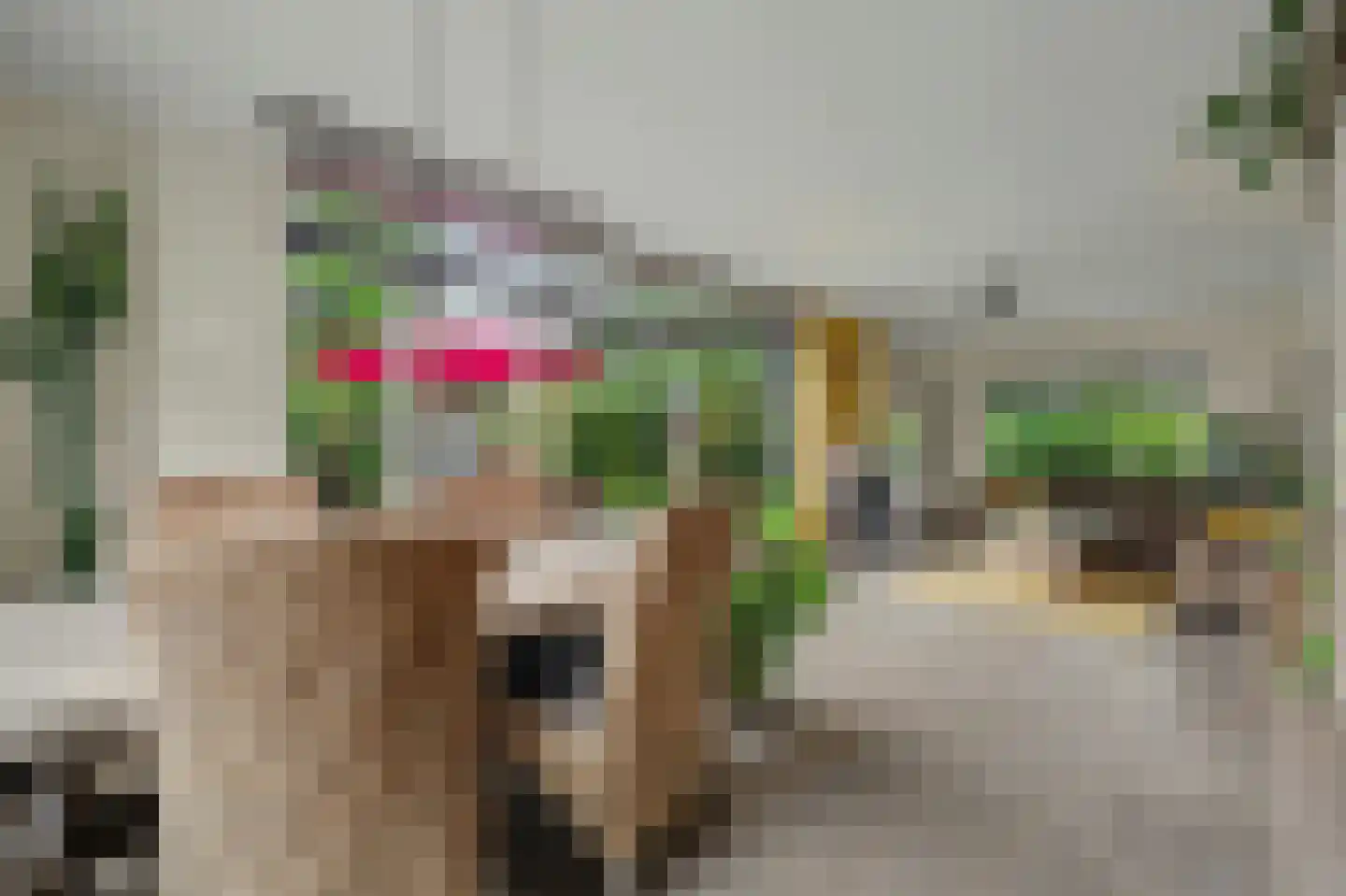 Henry Dunantstraat 47 Kruiningen thumbnail 22
